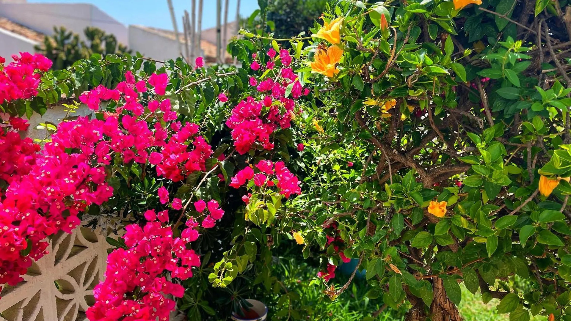 Apartamento Casa Jardin Del Mar Estepona 0*,
