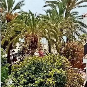  Apartamento Old Town